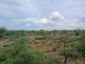 Plots for sale in Najile, Ngong